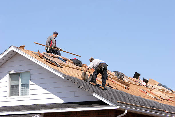 Best Asphalt Shingle Roofing  in Harbour Heights, FL
